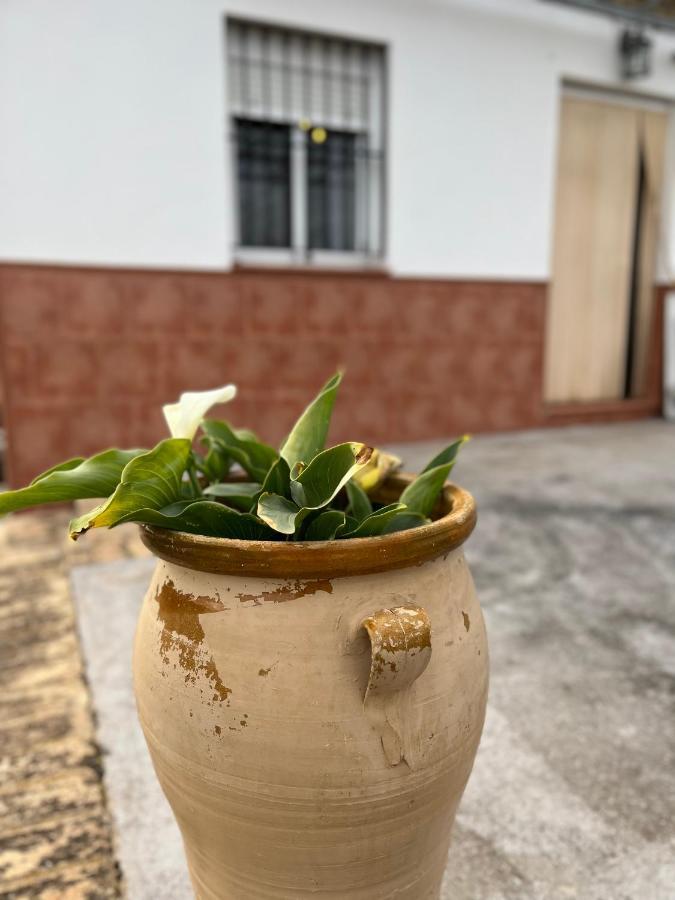 Agua De Verano San Bartolomé de la Torre Kültér fotó